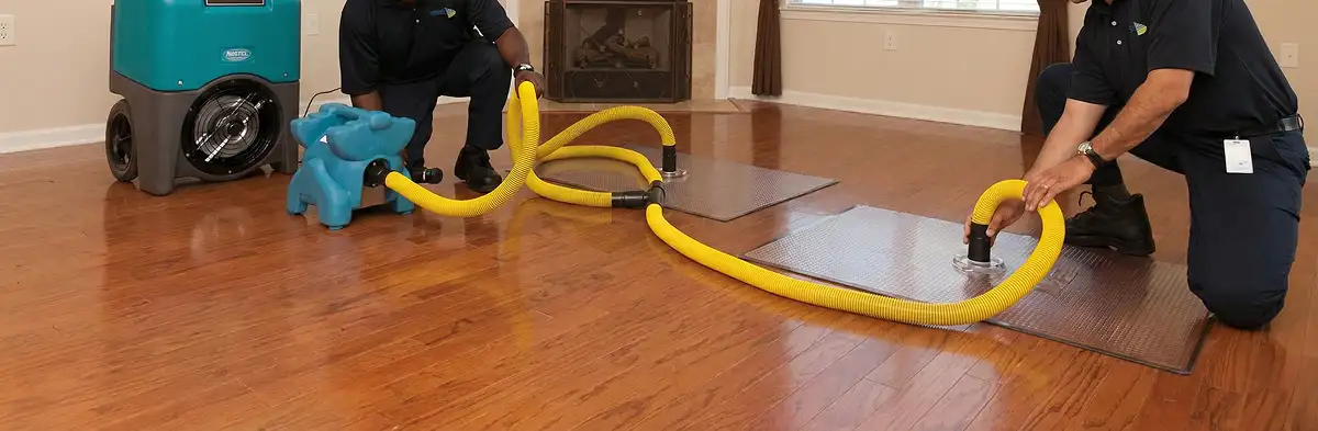 emergency water removal technicians extracting standing water from a home using professional equipment in Denver, CO